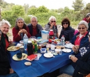 Pesach Picnic in the Forest